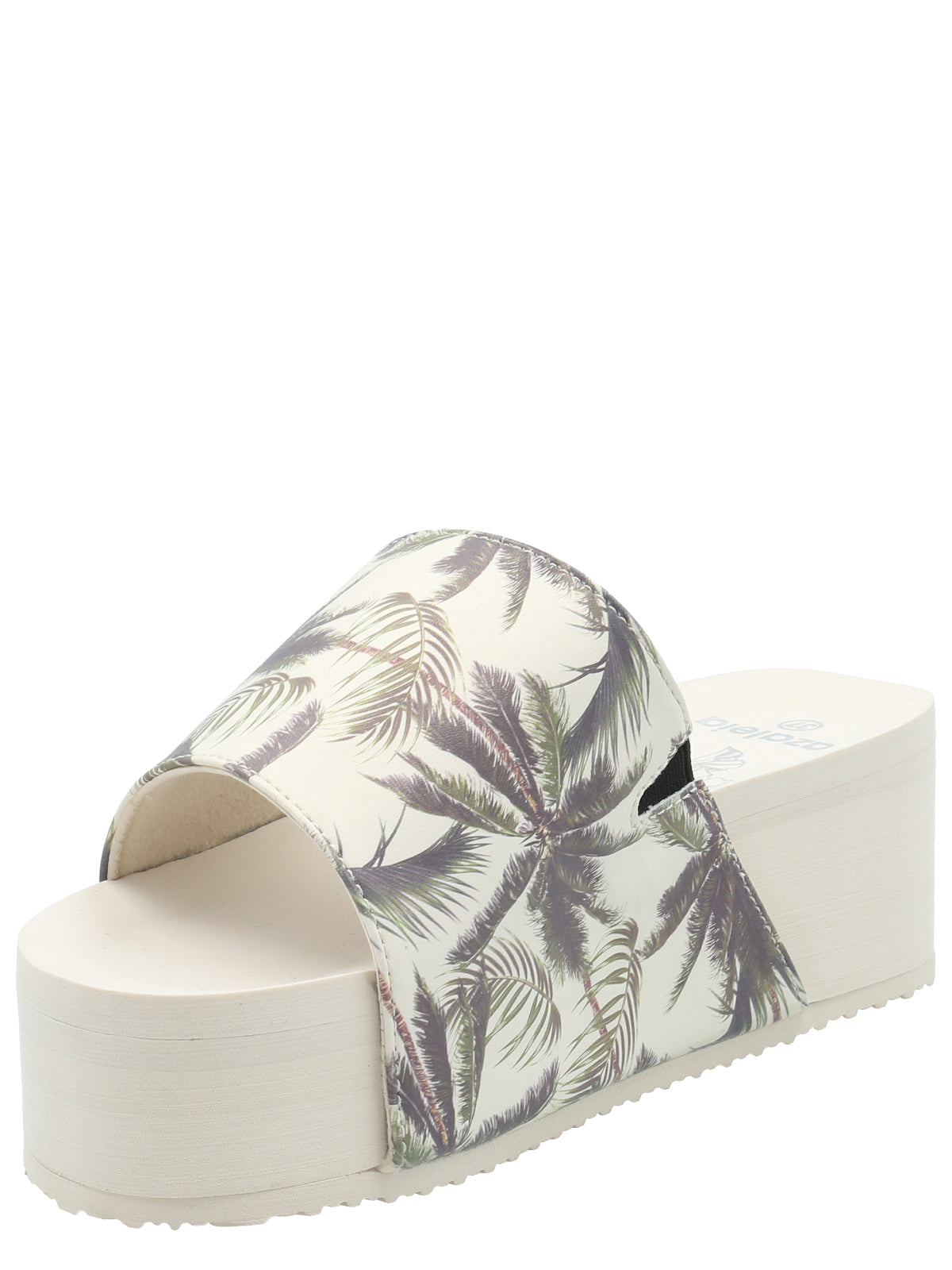 Hawaiana Mujer Dulce Ostra Azaleia