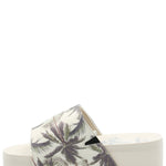 Hawaiana Mujer Dulce Ostra Azaleia