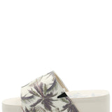 Hawaiana Mujer Dulce Ostra Azaleia