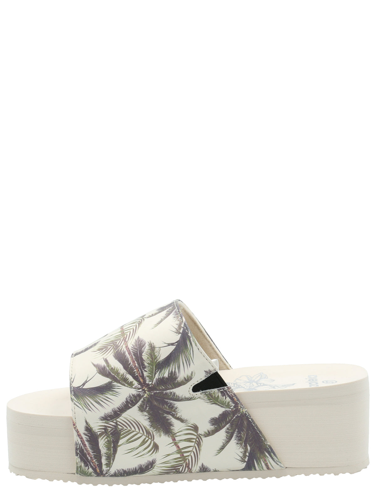 Hawaiana Mujer Dulce Ostra Azaleia