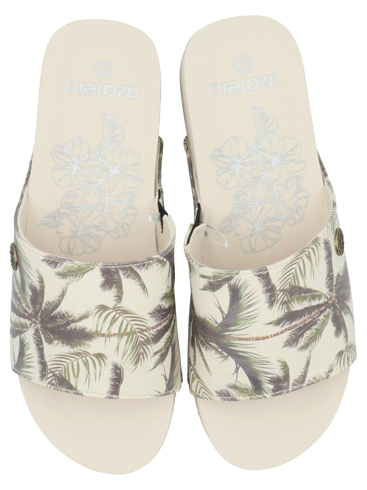 Hawaiana Mujer Dulce Ostra Azaleia