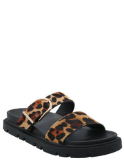 LEOPARDO