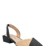 Zapato Mujer Ranisa Negro Azaleia