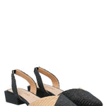 Zapato Mujer Ranisa Negro Azaleia