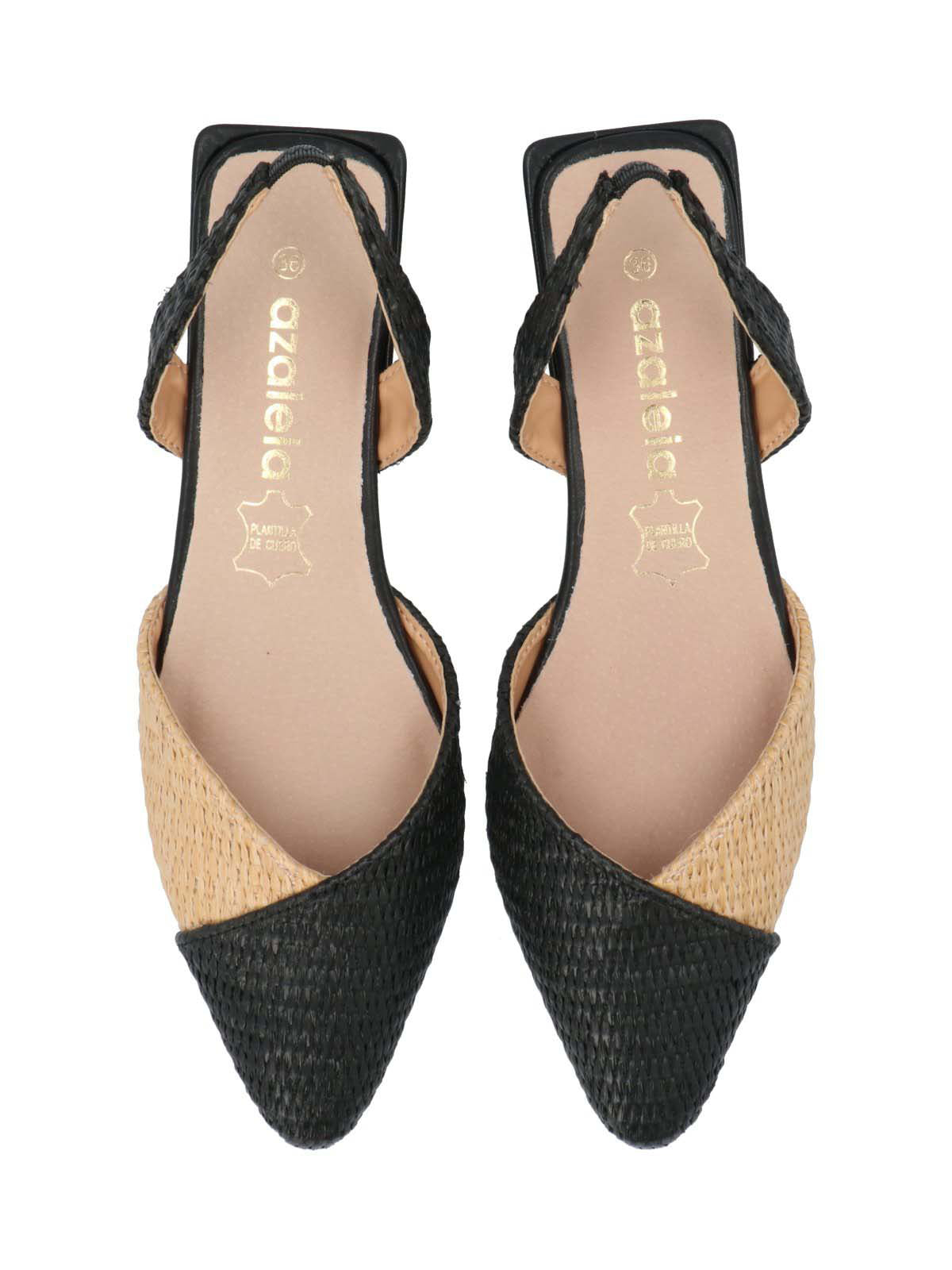 Zapato Mujer Ranisa Negro Azaleia