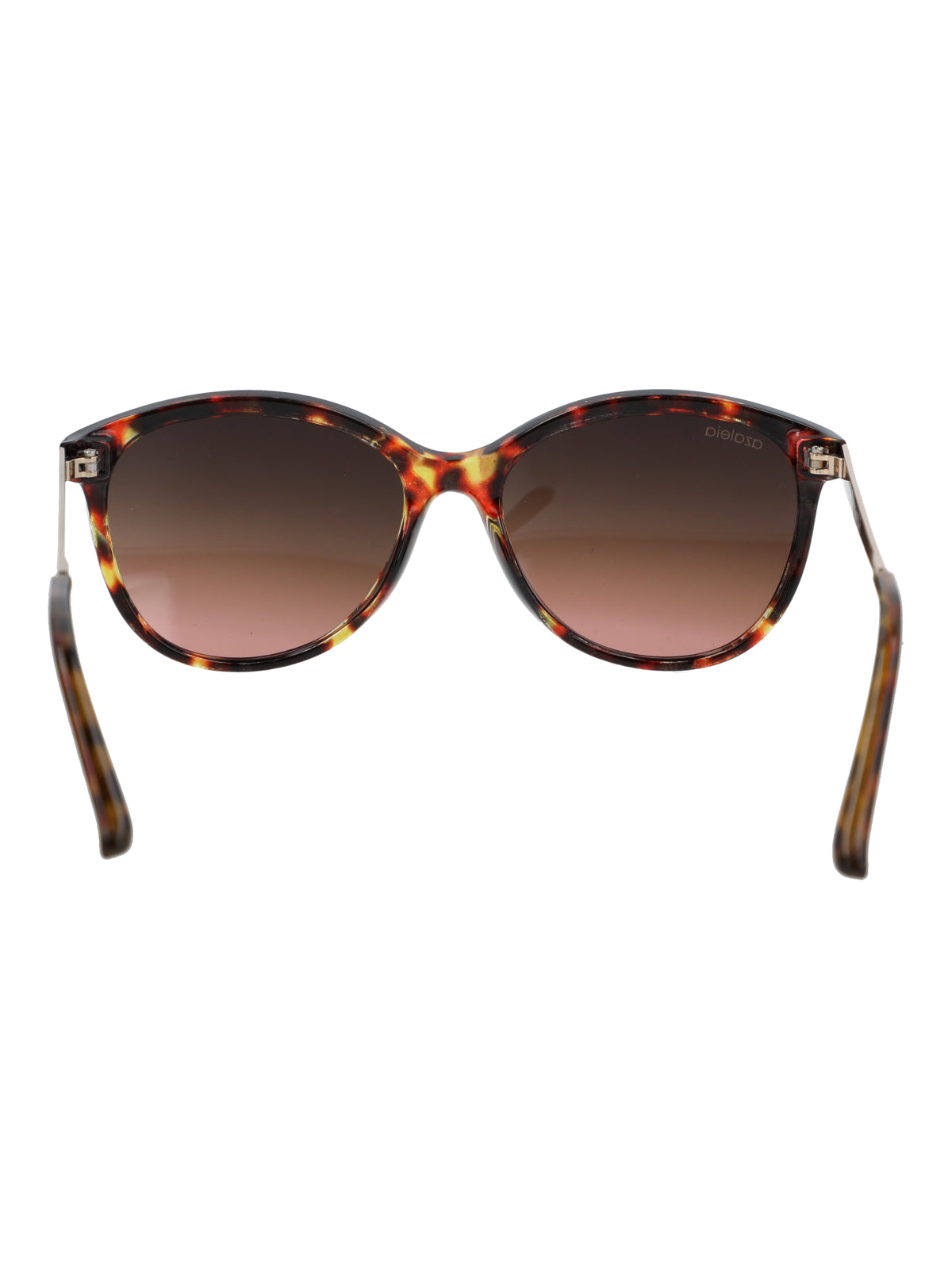 Anteojos Mujer Effie I Café Azaleia