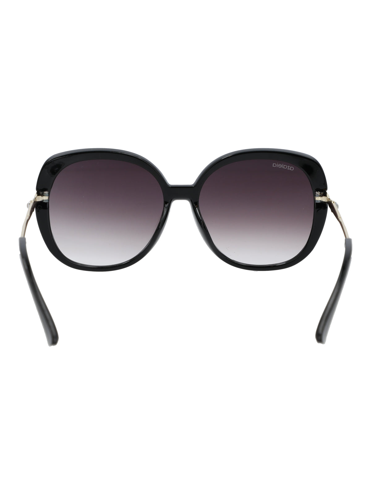 Anteojos Mujer Hall Negro Azaleia