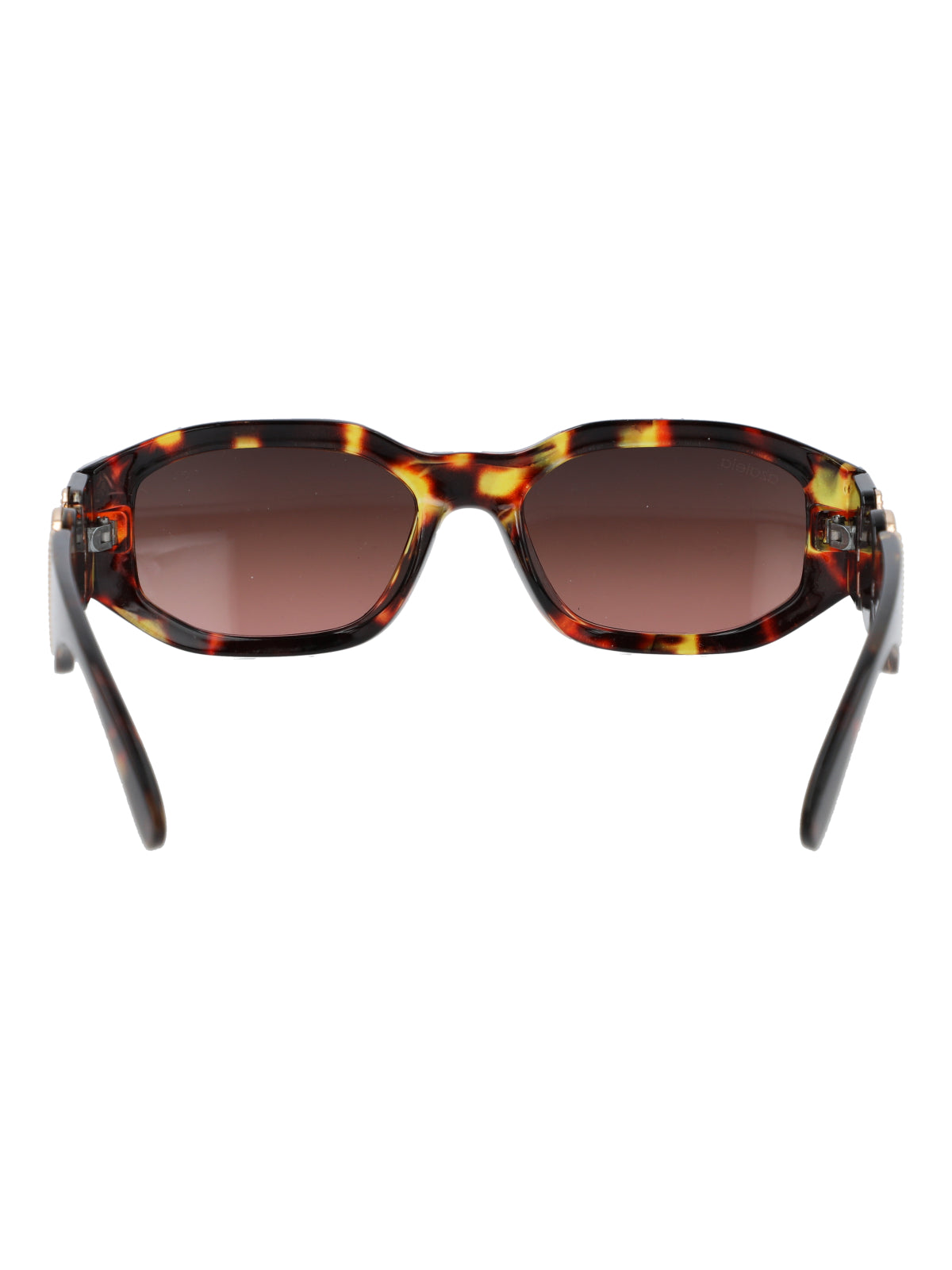 Anteojos Mujer Jackson Café Azaleia